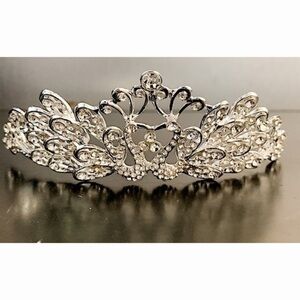 Delicate Silver Crown